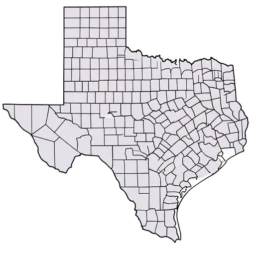 德克萨斯州被划分为254个县。