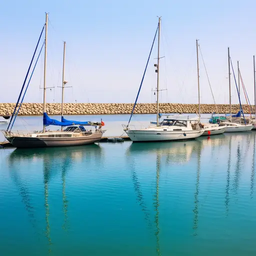 港口里有很多漂亮的船。