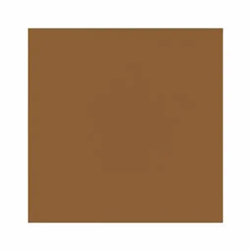 我最喜欢的颜色是棕色。