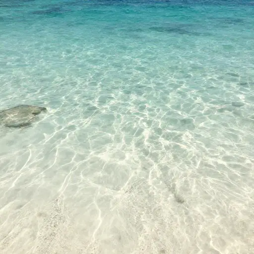 你会被浅海清澈的水所惊叹。