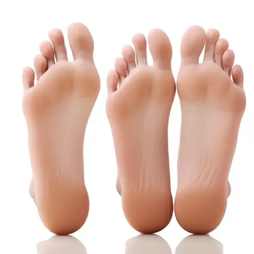 ‘Feet’是复数形式；它的单数形式是‘foot’。