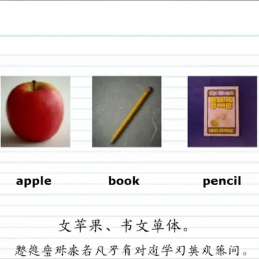 请将这些单词与上方的图片配对。