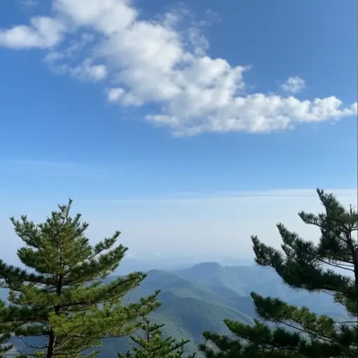 从山上看到的景色是美丽的风景。