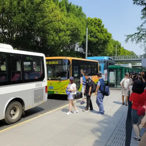 为了减少污染，更多人应该使用公共交通。