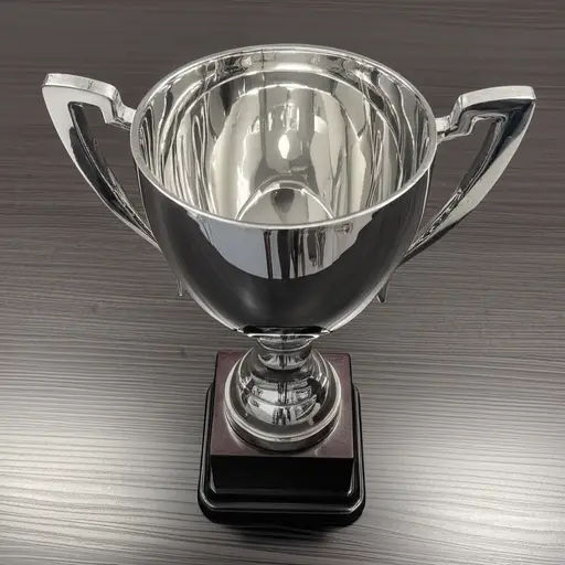 这个奖杯是银做的。