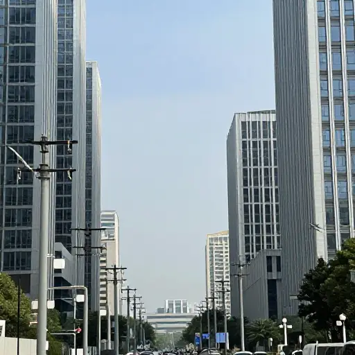 该公司专注于城市地区的电力供应系统。