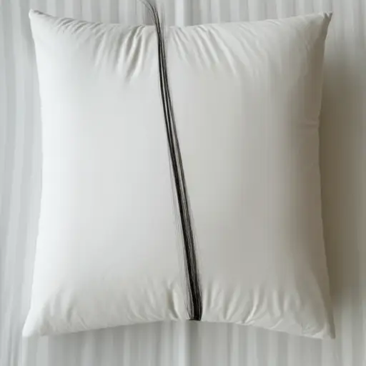 她发现枕头上有一根长长的头发。