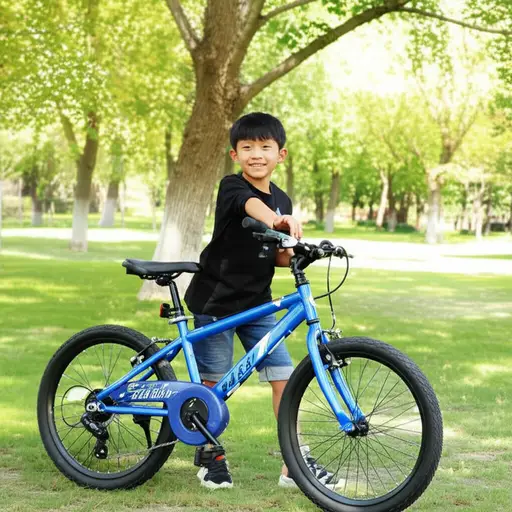 那是我的自行车。