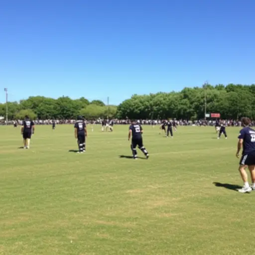 我参加了其中一项活动，是板球，持续了一整天。