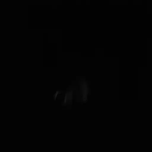 在黑暗中，我无法分辨出任何东西。