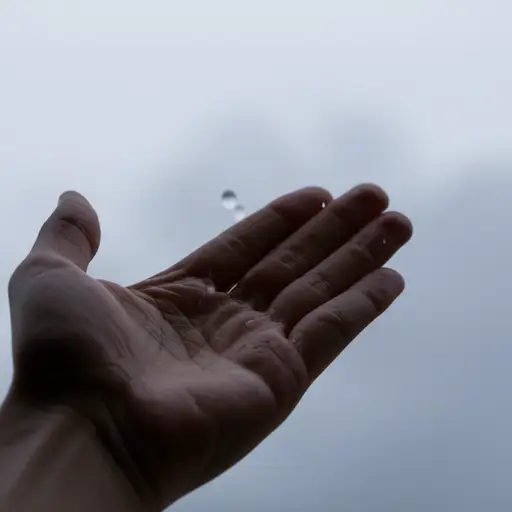 我以为我感觉到了一滴雨。