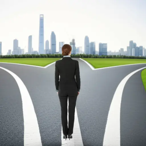 努力工作的人面前有许多选择。