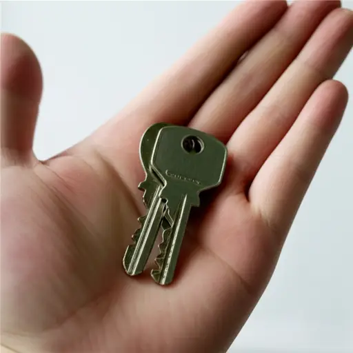 我有一串钥匙。