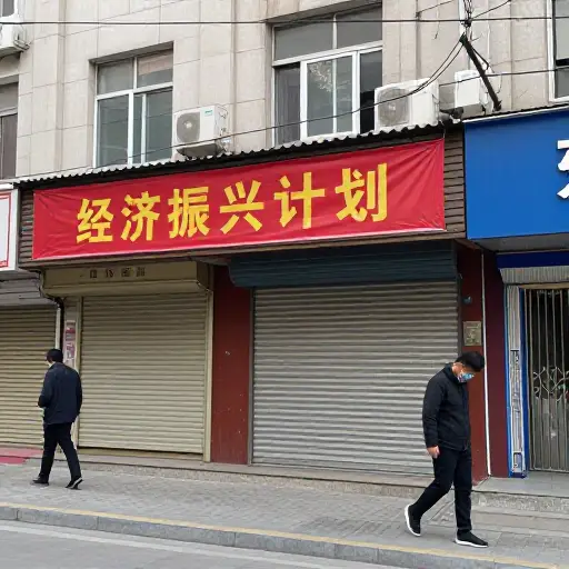 尽管政府努力，经济危机仍在持续。