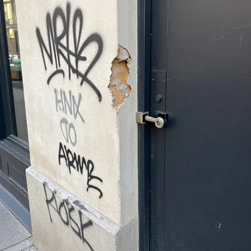 像故意破坏和盗窃这样的问题在城市地区很常见。