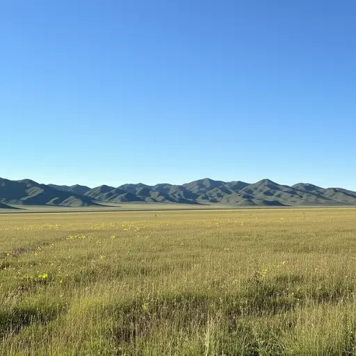 他们刚在爱达荷州买了150英亩的土地。