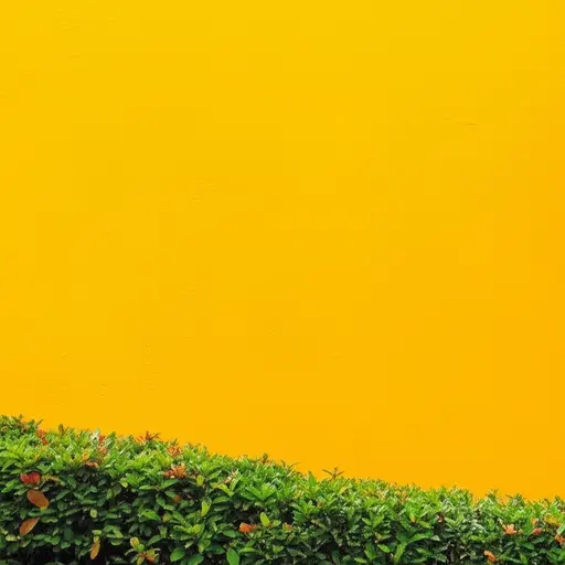 这面墙的颜色很吸引人。