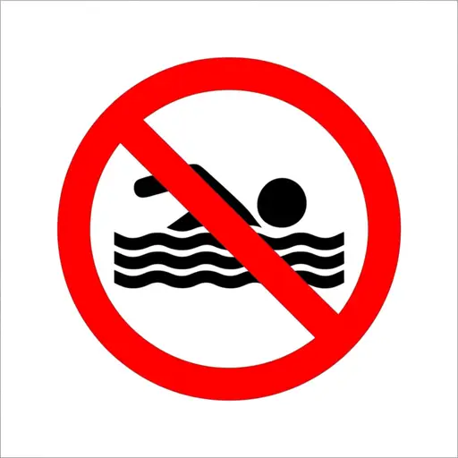 这个标志的意思是“禁止游泳”。
