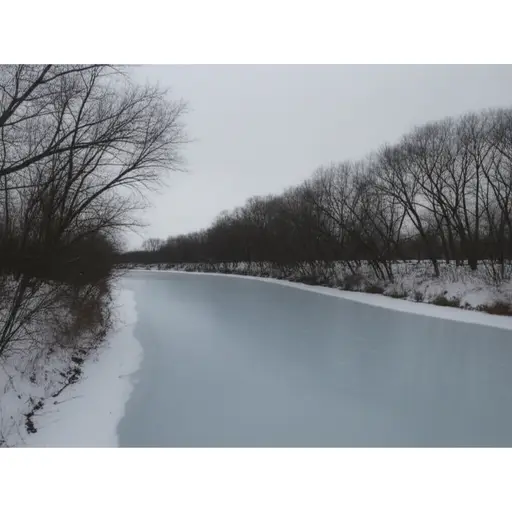 到一月份时，这条河已经冻得结实实了。