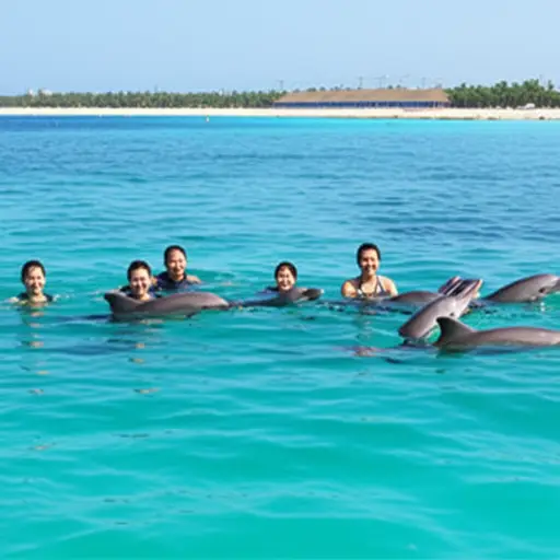 他们在假期期间和海豚一起游泳。