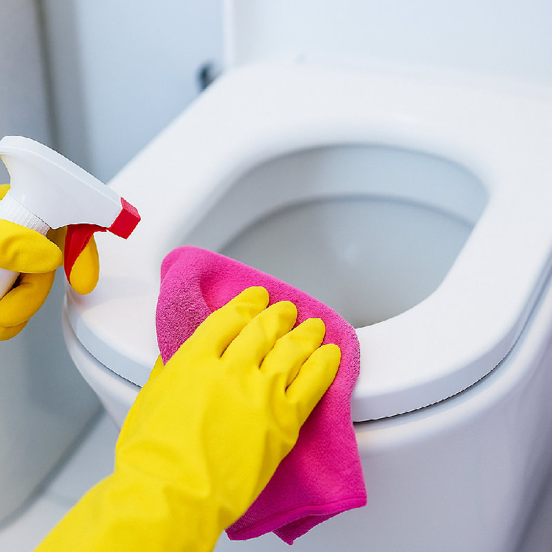 她用消毒剂清洁马桶。