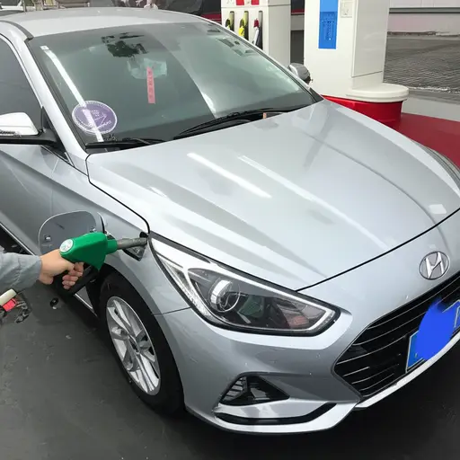 我的车使用无铅燃料时运行状态最佳。