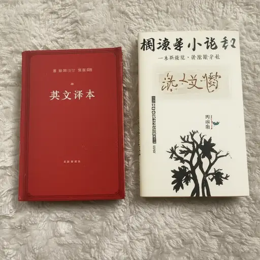 这个英文版本是从原版法语小说翻译过来的。