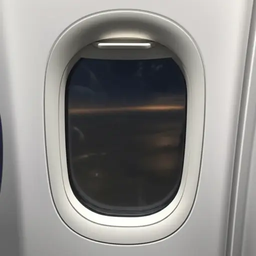 长途飞行后，我立刻就睡着了。