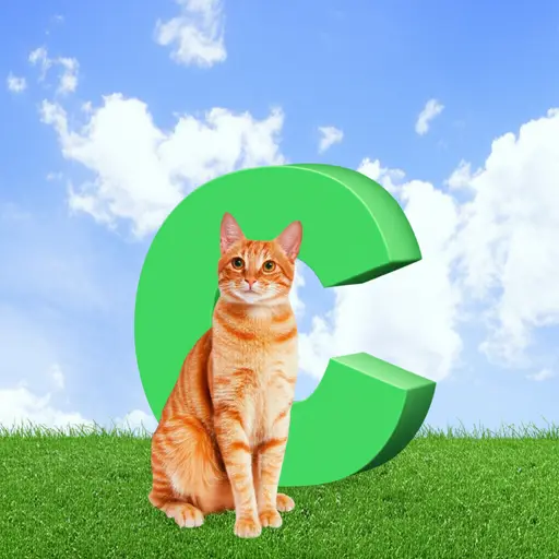 'cat'这个词以辅音'c'开头。