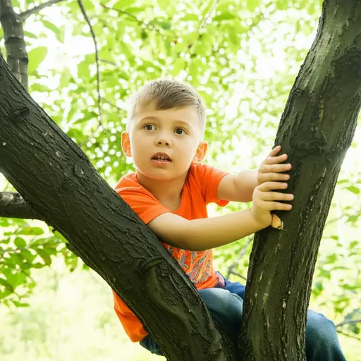 孩子小心翼翼地爬上了一根粗壮的树枝。