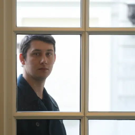 我透过窗户看了看，但没有进去。