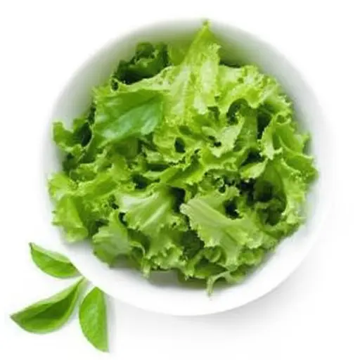 一份新鲜的绿色沙拉通常从一些脆嫩的生菜开始。