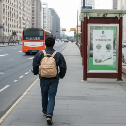 公交车晚点了，所以尽管我很赶时间，我决定走路。