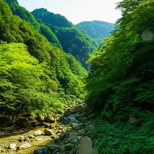 我们在山里发现了一个隐藏的山谷。