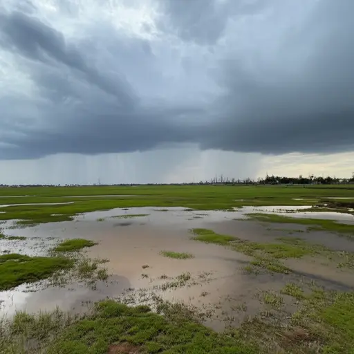 这个地区的平均降雨量是每年500毫米。
