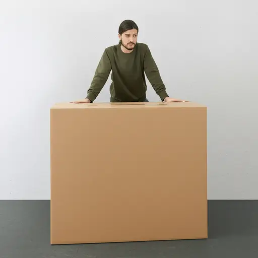 我需要找个人来帮忙搬这个箱子。