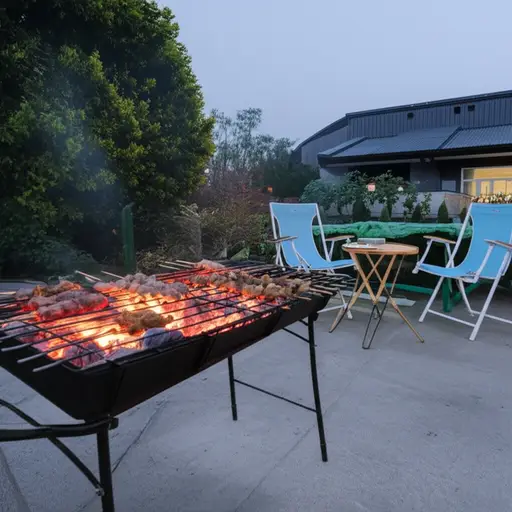 我们今晚要在院子里烧烤。