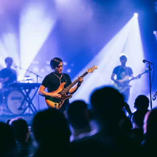 他是一支著名乐队的职业吉他手。