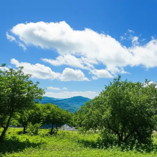 总的来说，这个地区的天气相当宜人。