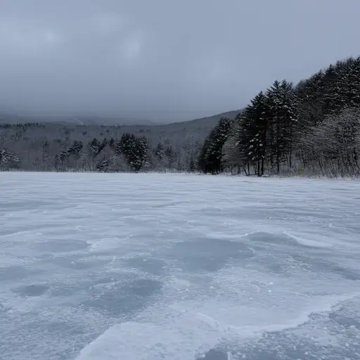 冬天的时候，这个湖会结冰。