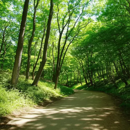 走哪条路有区别吗？