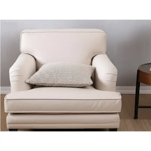 我为我的扶手椅买了一个柔软的靠垫。