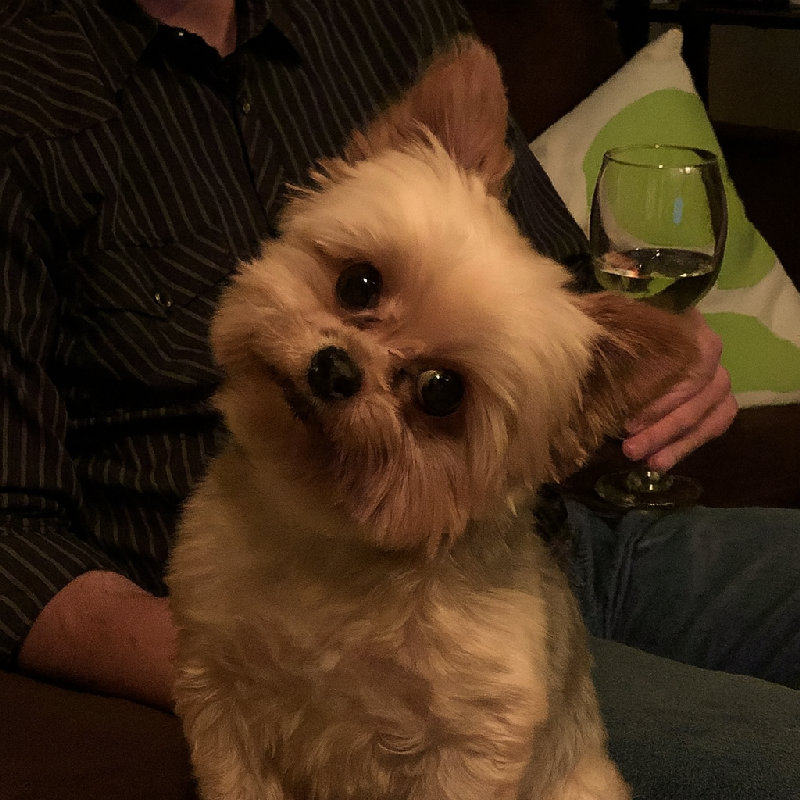 她好奇地歪了歪头。