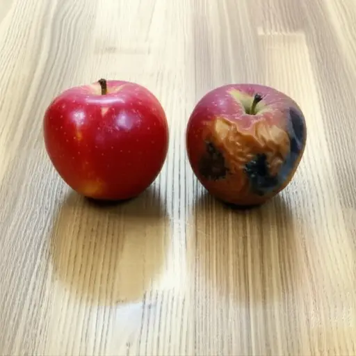 这个苹果是好的，但另一个坏了。