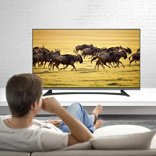 我喜欢看关于自然世界的纪录片。