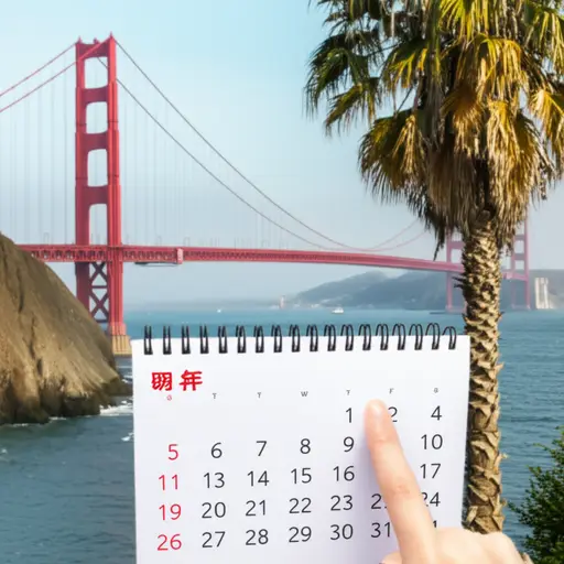 我计划明年访问加利福尼亚。