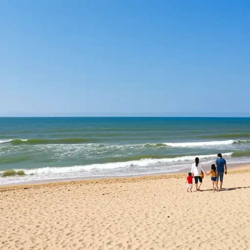 我们周末经常去附近的海滩。