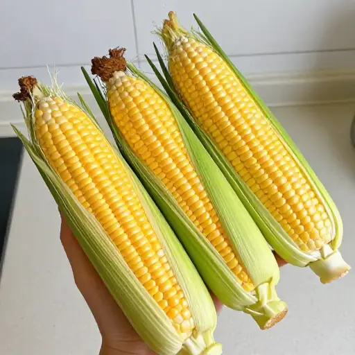 我买了四穗玉米当晚餐。
