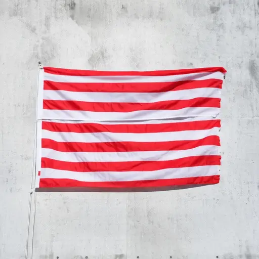 这面旗有红白条纹。