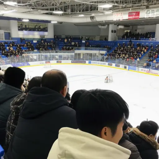 我和一些朋友去了卡塞尔，观看一场冰球比赛。